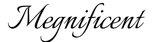 megnificent.co